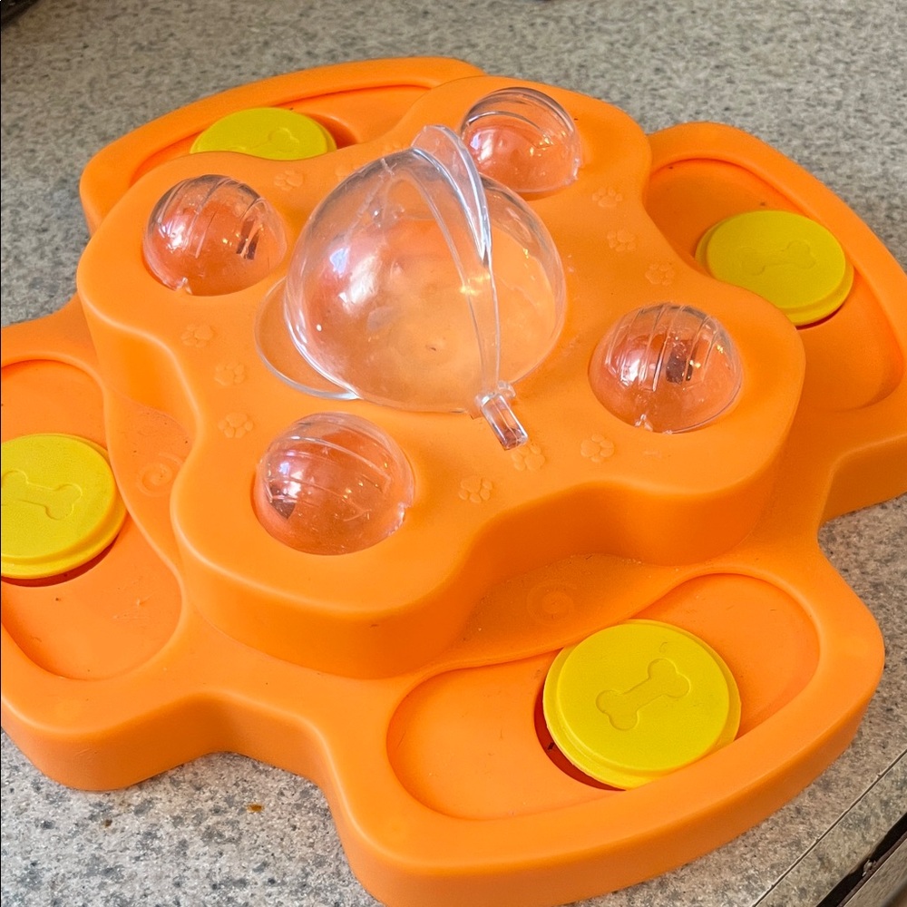 Orange and Yellow Interactive Pet Puzzle